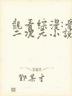 观看综漫:爱在二次元小说