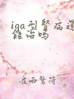 iga型肾病还能治吗