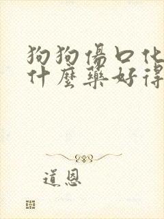 狗狗伤口化脓用什么药好得快