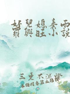 好儿媳秦雨罗明罗兴旺小说免费阅读