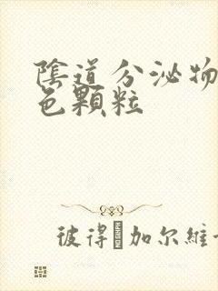 阴道分泌物是白色颗粒