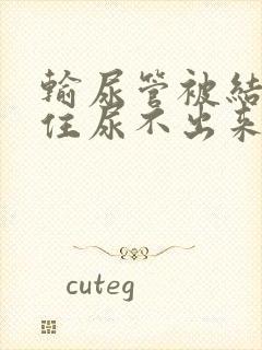 输尿管被结石堵住尿不出来怎么办