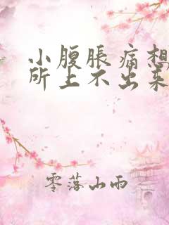 小腹胀痛想上厕所上不出来