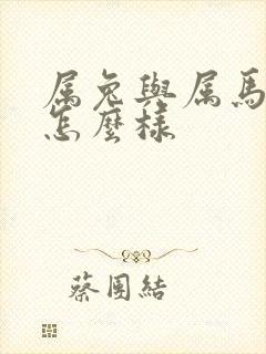 属兔与属马姻缘怎么样