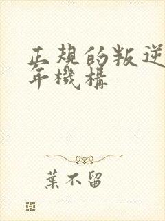 正规的叛逆青少年机构