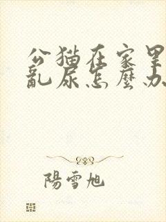 公猫在家里到处乱尿怎么办