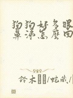 狗狗好多眼屎流鼻涕怎么回事