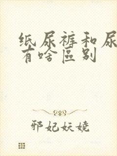 纸尿裤和尿不湿有啥区别