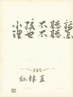 小孩不听话讲道理也不听怎么办