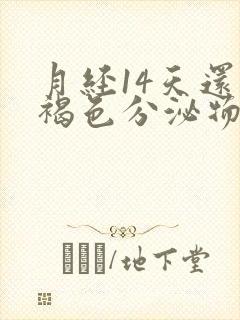 月经14天还有褐色分泌物怎么办