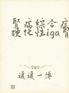 肾病综合症增生硬化性iga肾