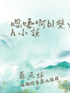 嗯唔啊bl双性h小说