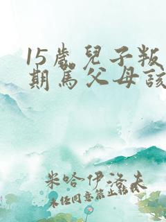 15岁儿子叛逆期骂父母该怎么办