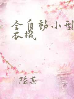 全自动小型 洗衣机