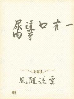 尿道口有一些小肉芽