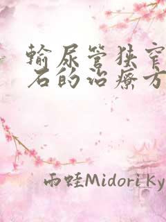 输尿管狭窄处结石的治疗方法