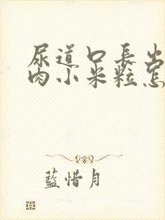 尿道口长出好多肉小米粒怎么回事