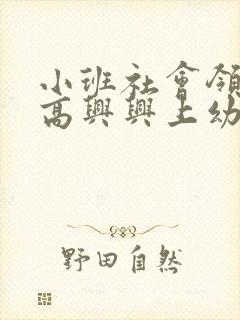 小班社会领域高高兴兴上幼儿园教案