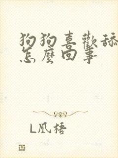 狗狗喜欢舔人是怎么回事