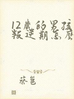 12岁的男孩子叛逆期怎么办