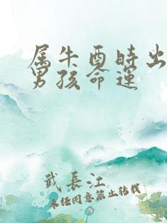 属牛酉时出生的男孩命运