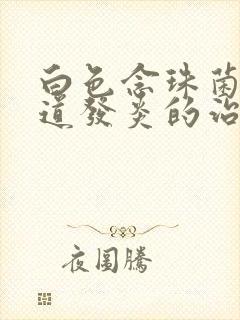 白色念珠菌性阴道发炎的治疗