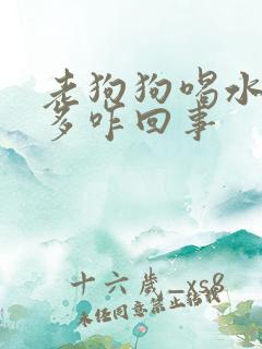 老狗狗喝水多尿多咋回事