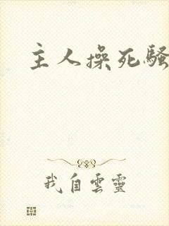 主人操死骚母狗