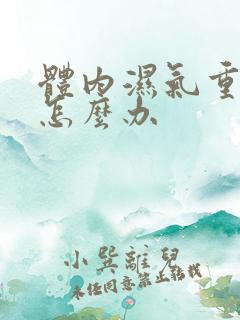 体内湿气重口臭怎么办