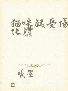 猫咪腿受伤反复化脓