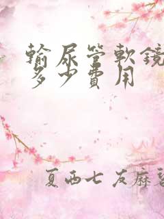 输尿管软镜取石多少费用