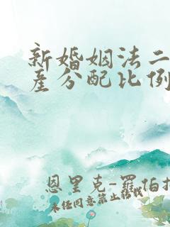 新婚姻法二婚遗产分配比例