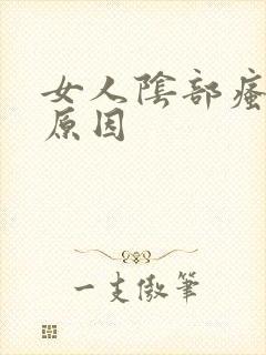 女人阴部瘙痒的原因