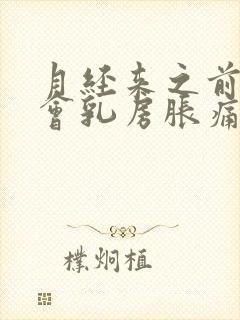 月经来之前几天会乳房胀痛