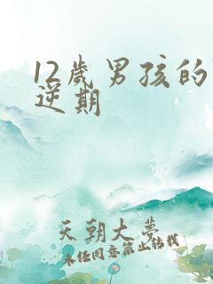 12岁男孩的叛逆期