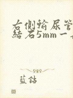 右侧输尿管下段结石5mm一般多久可以排出