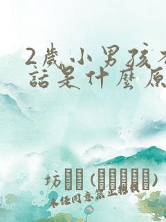 2岁小男孩不说话是什么原因