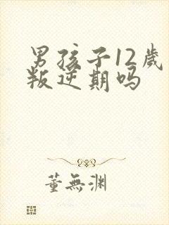 男孩子12岁是叛逆期吗