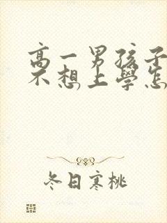 高一男孩子厌学不想上学怎么办