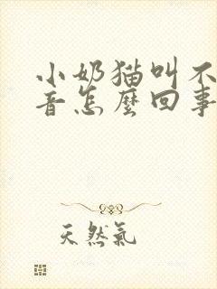 小奶猫叫不出声音怎么回事