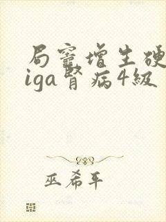 局灶增生硬化型iga肾病4级