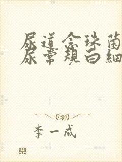 尿道念珠菌感染尿常规白细胞高吗