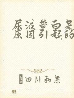 尿液带白是什么原因引起的