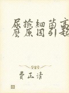 尿检细菌高是什么原因引起的