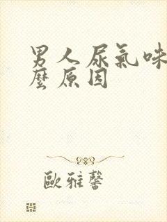 男人尿气味重什么原因