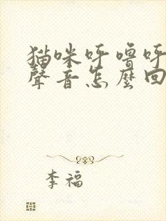 猫咪呼噜呼噜的声音怎么回事