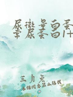 尿微量白蛋白正常尿蛋白1+