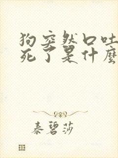 狗突然口吐白沫死了是什么原因