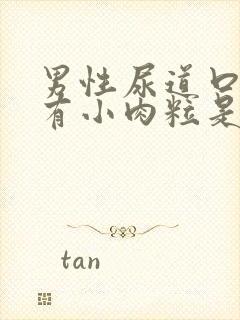 男性尿道口里面有小肉粒是咋回事