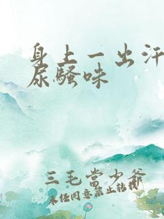 身上一出汗就有尿骚味